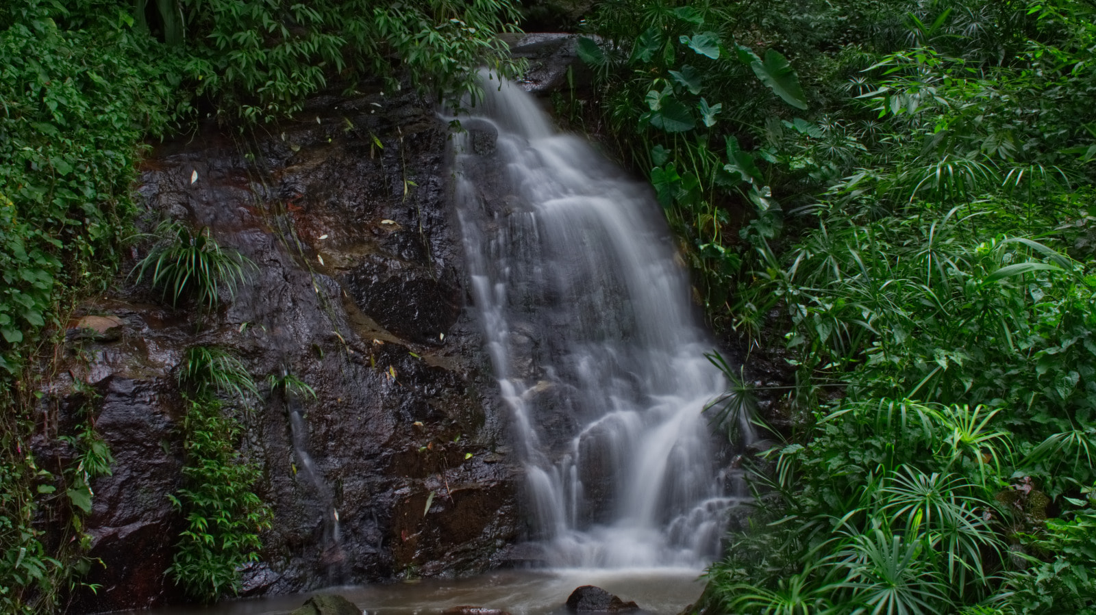 Small waterfall in the mountain of Doi Suthep located in Chiang Mai of Thailand