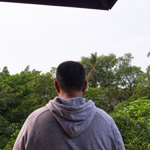 A photo of man looking into the nature surrounded by trees, bird, people, river, and lots of water