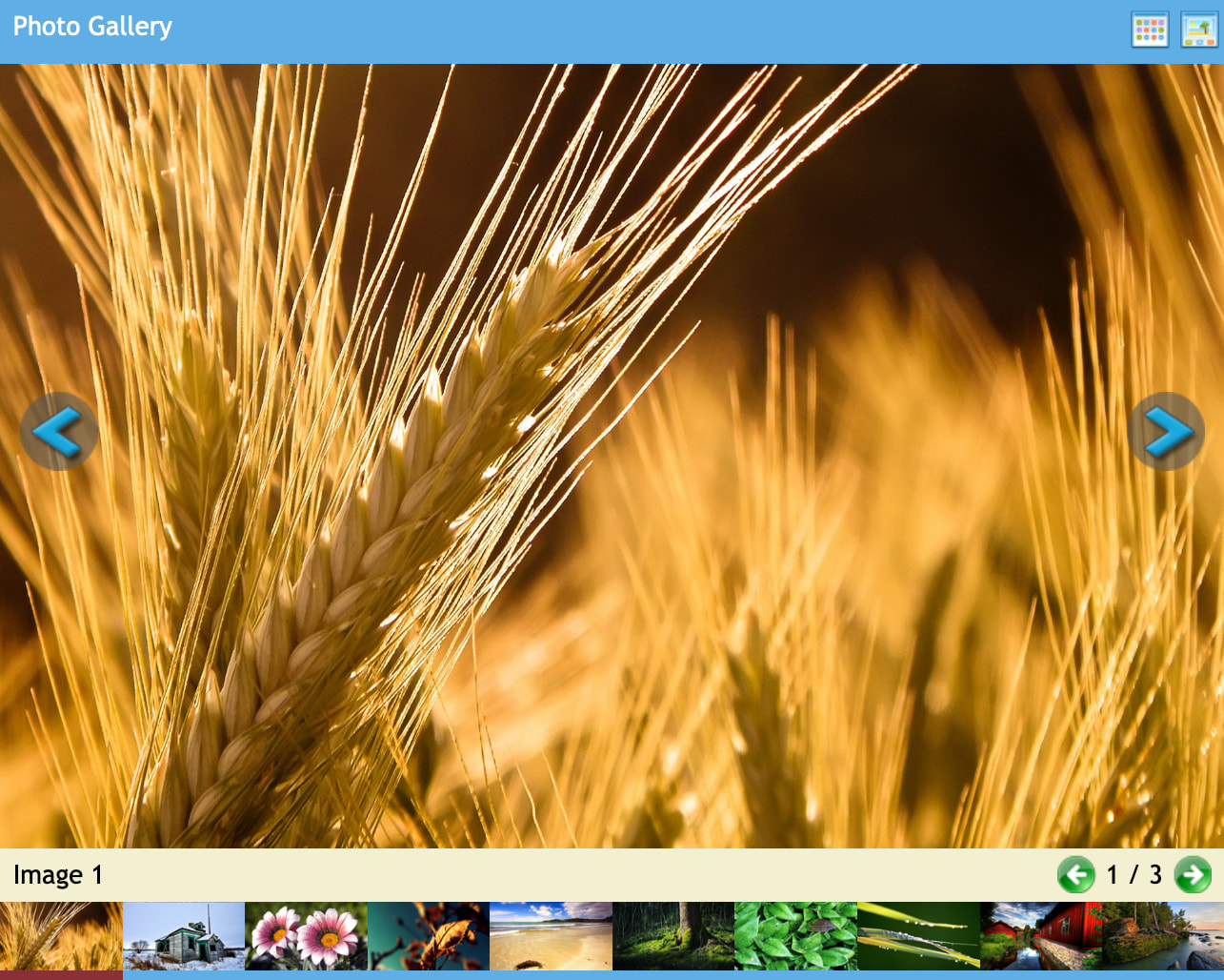 The snapshot of running the script for "photo-gallery" jQuery plugin as demo No.1 in thumbnail view mode